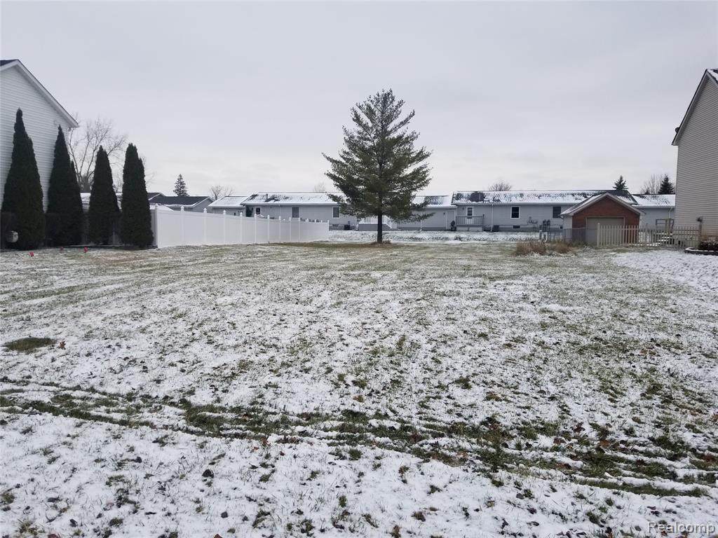 700 Koula - Photo 1