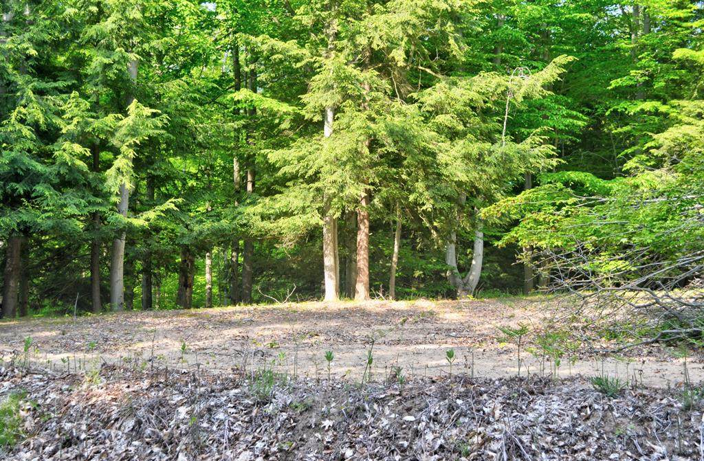 Lost Canyon Road - Photo 1
