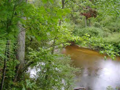 Woods Road - Photo 1