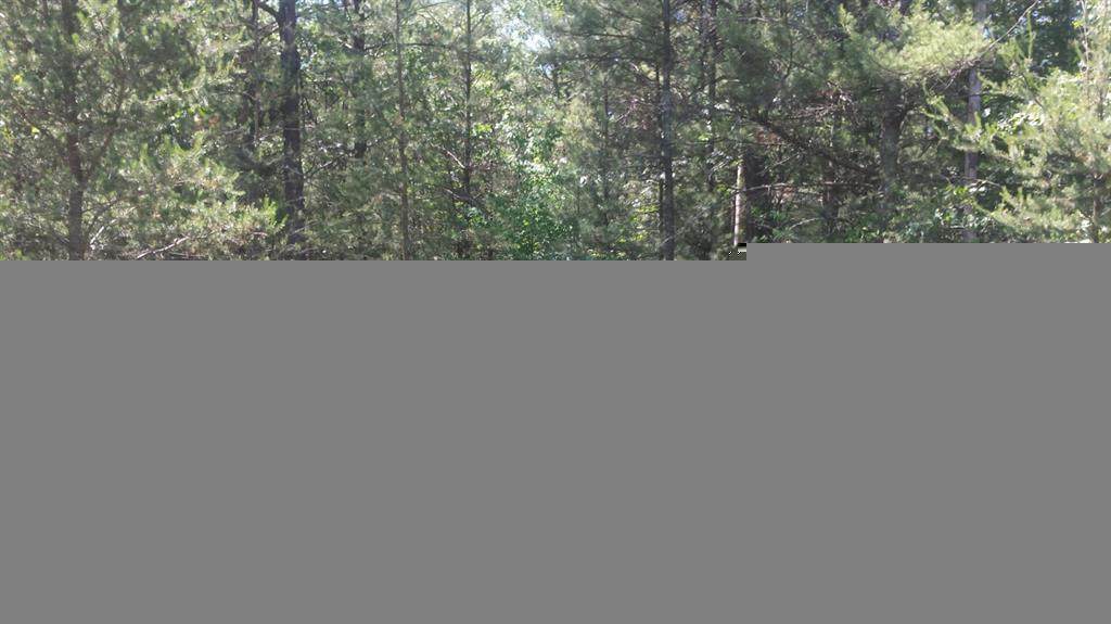 Lot 151 Danc - Photo 1
