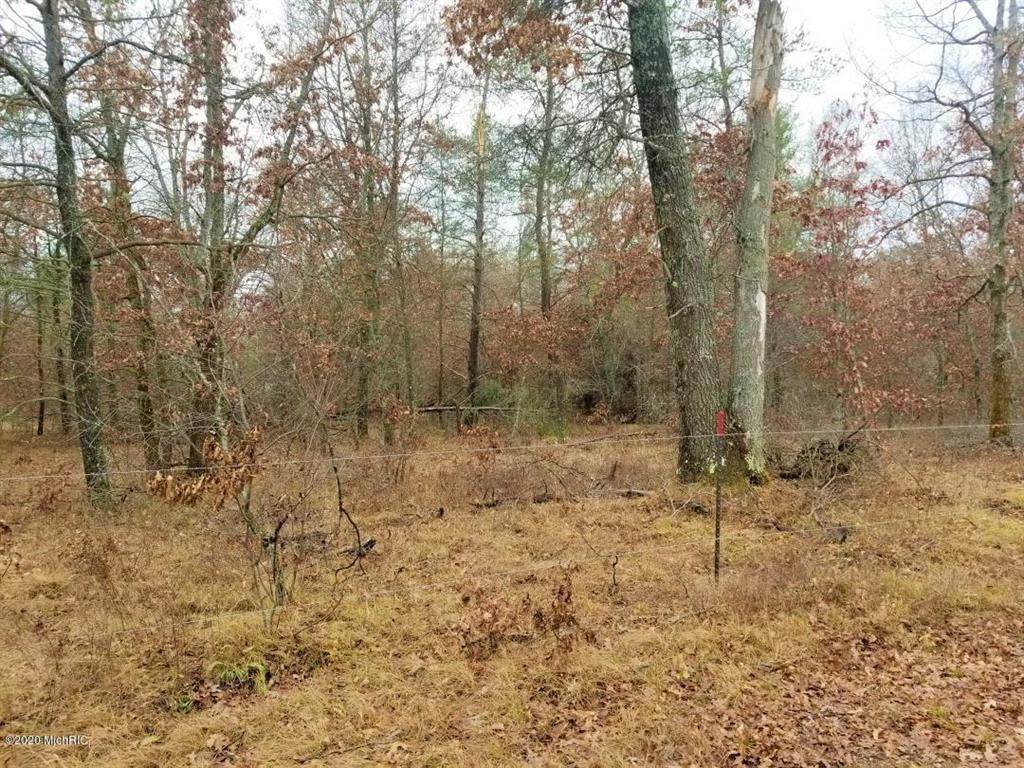 4933 Spicebush Trail - Photo 1