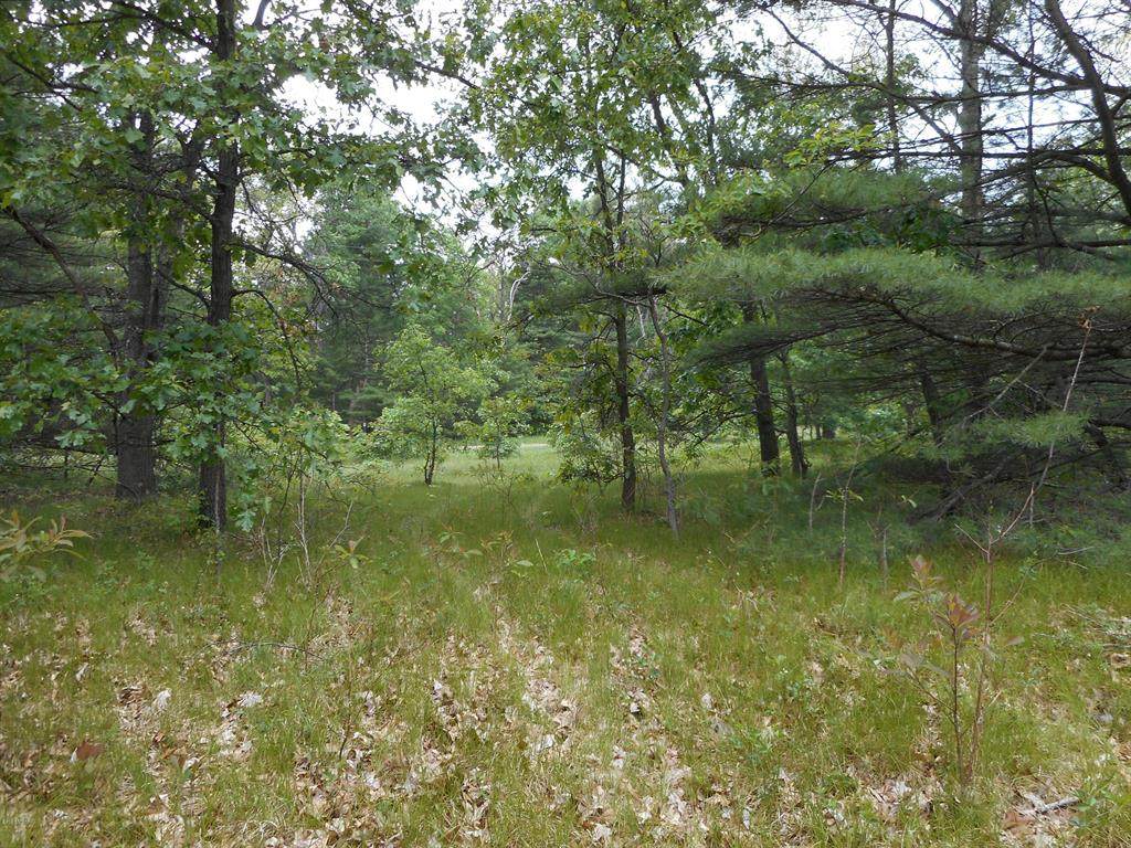 7394 Gibson - Photo 1