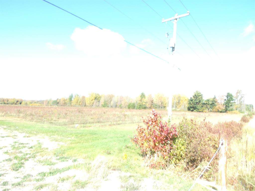 3915 Russell Road - Photo 1