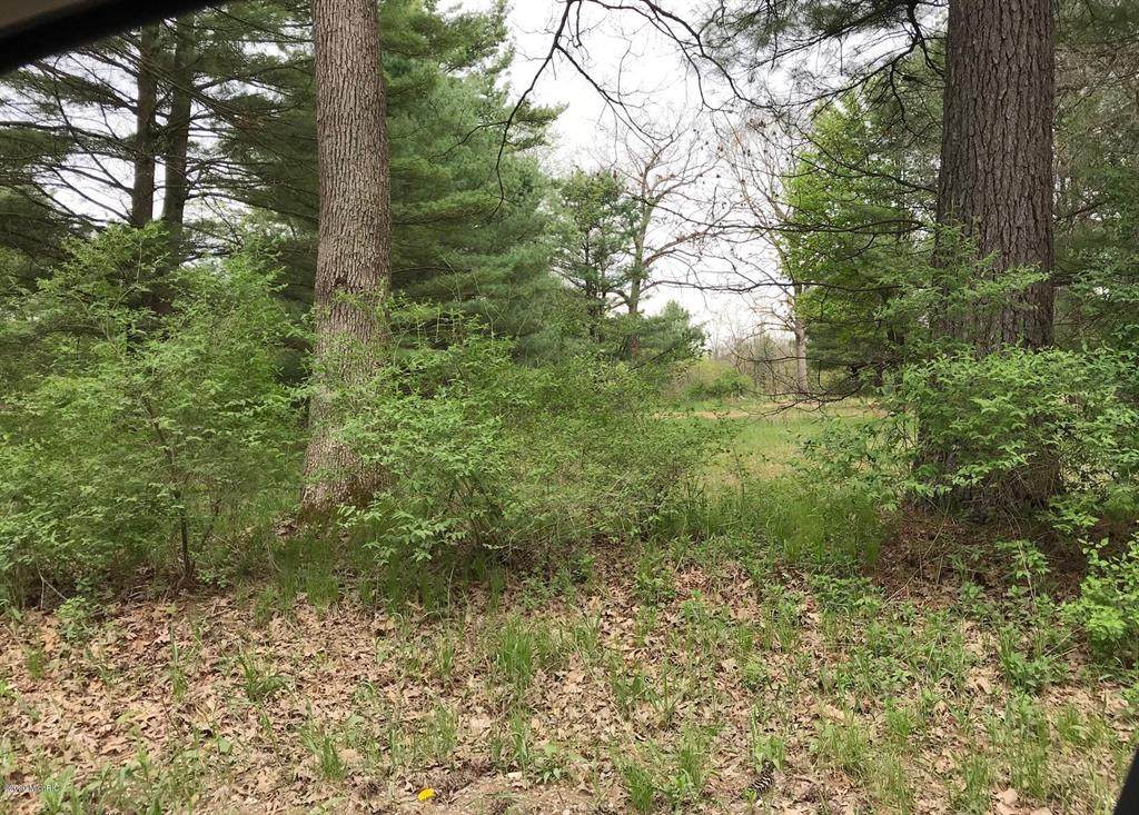 6377 Schow Road - Photo 1