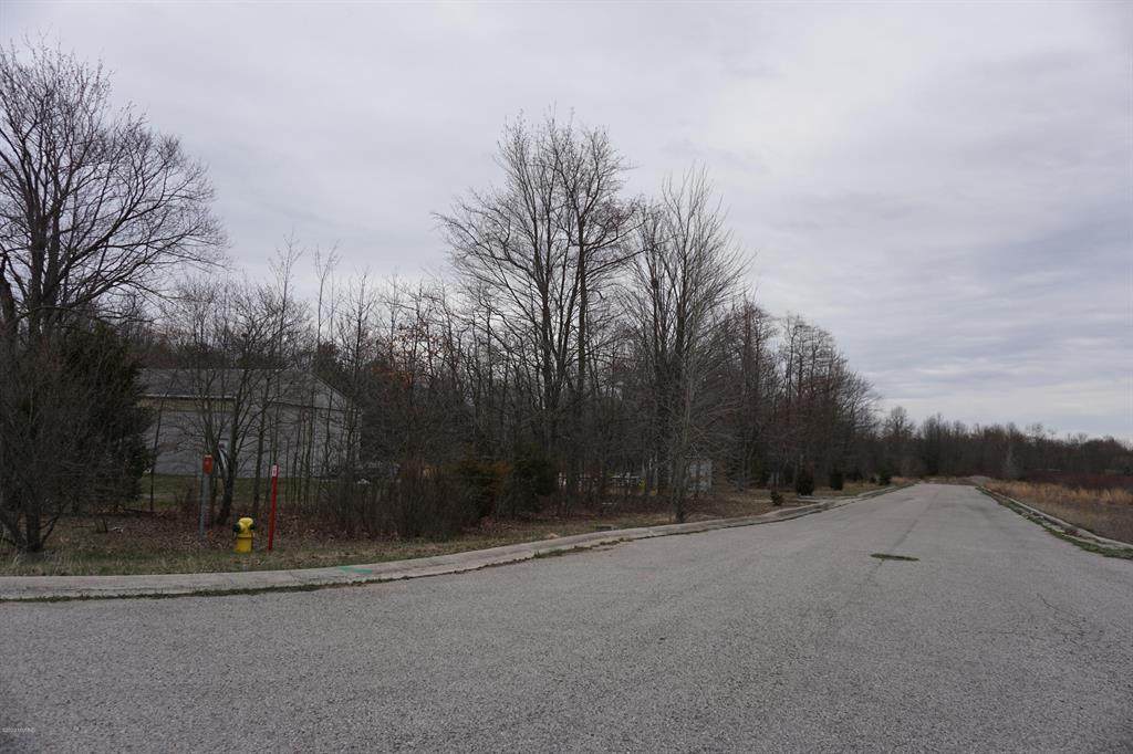 VL Mt. Garfield Road - Photo 1