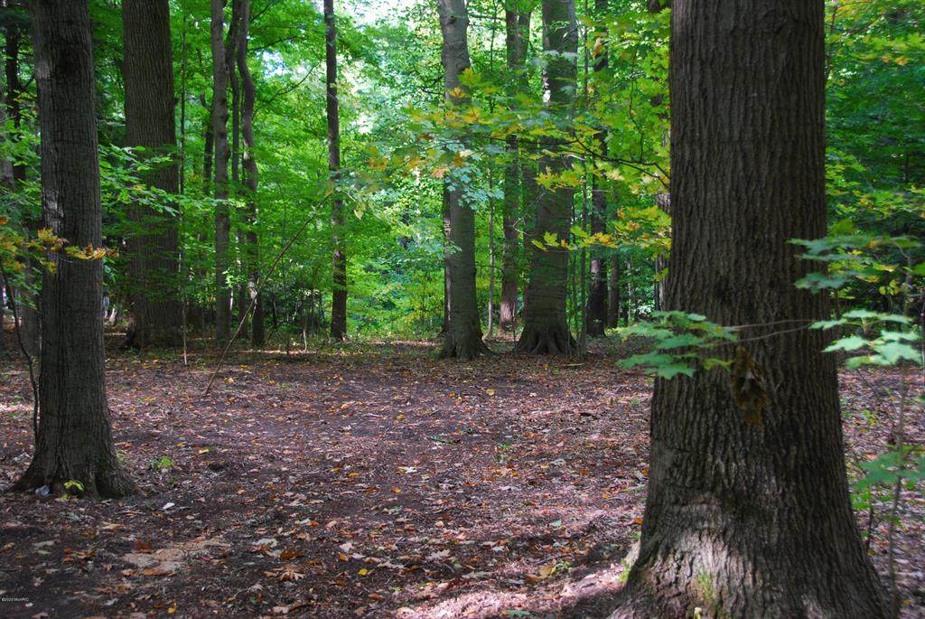 Lot 37 Beech Drive - Photo 1