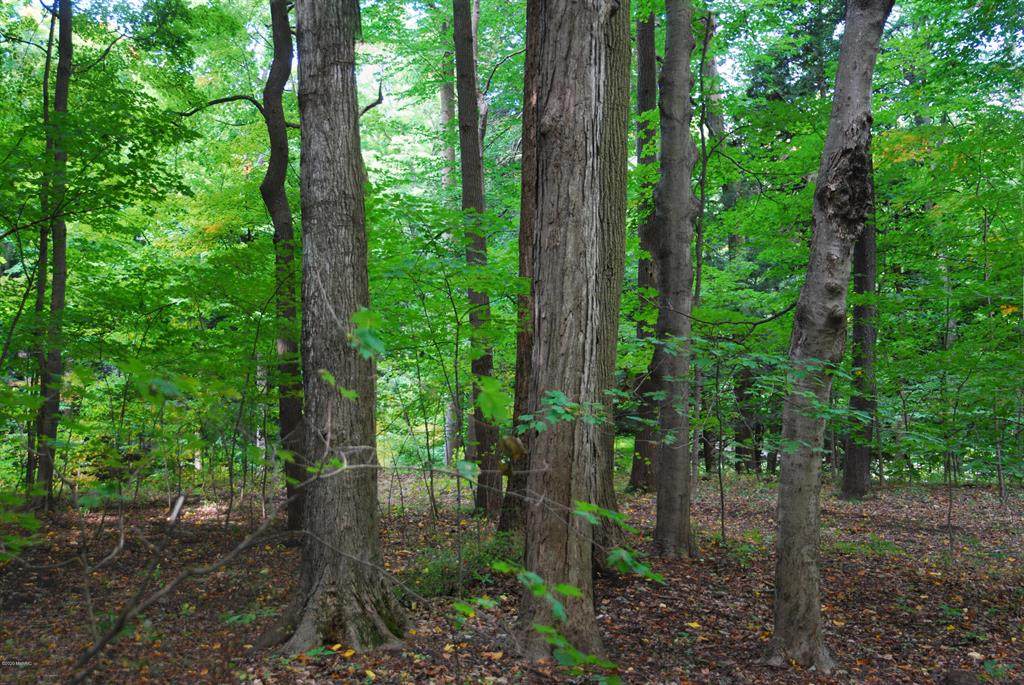 Lot 38 Beech Drive - Photo 1