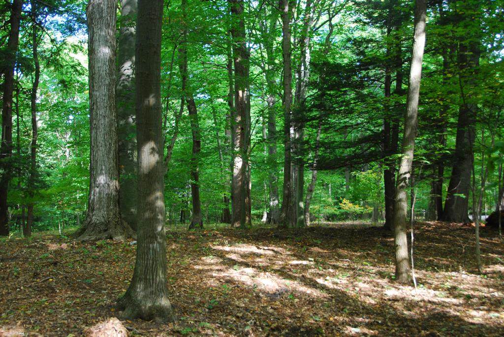 Lot 39 Beech Drive - Photo 1
