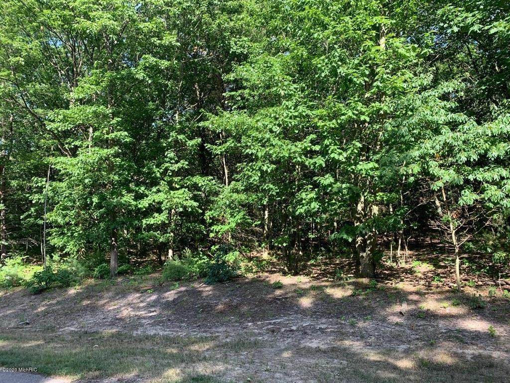 6711 Indian Pipe Circle - Photo 1
