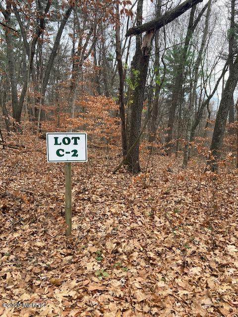 Limberlost Lane - Photo 1