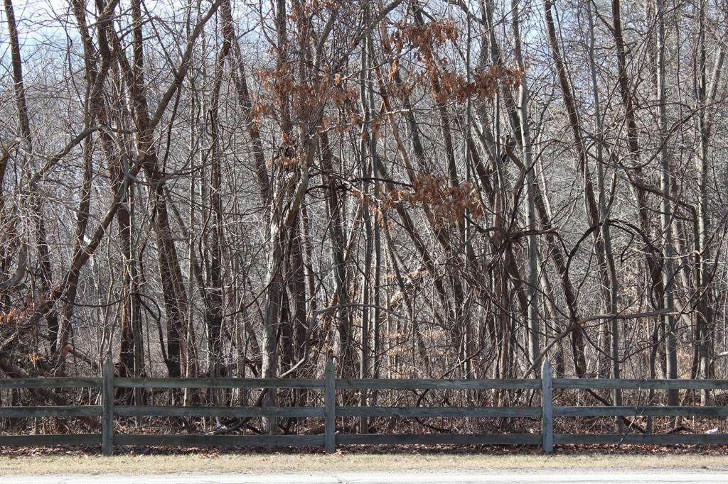 0 Wildwood - Photo 1