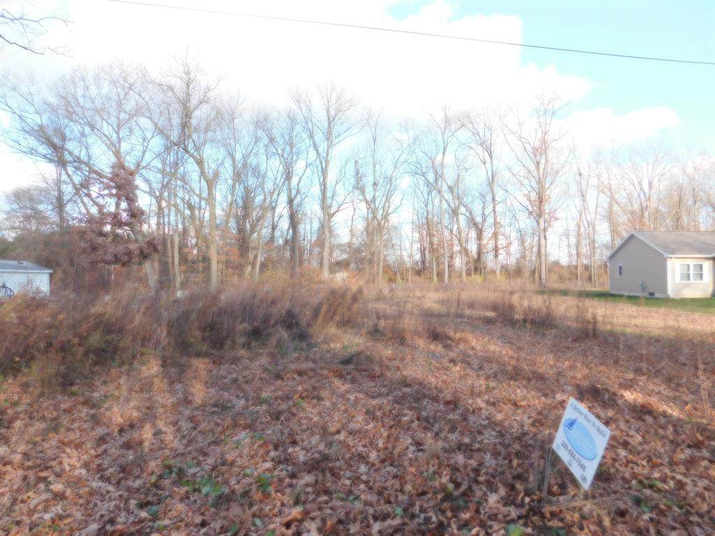 V/L Lakeview - Photo 1
