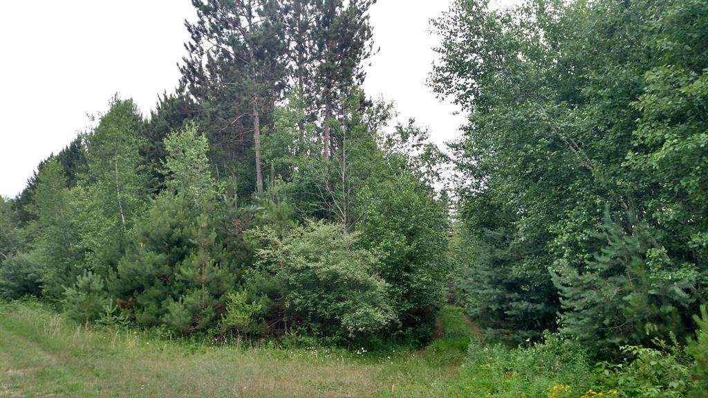 White Birch Drive - Photo 1