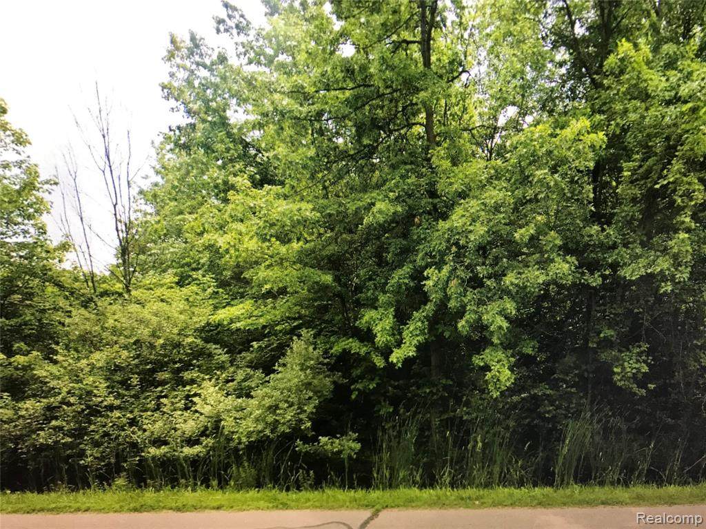 0000 Willow Road - Photo 1