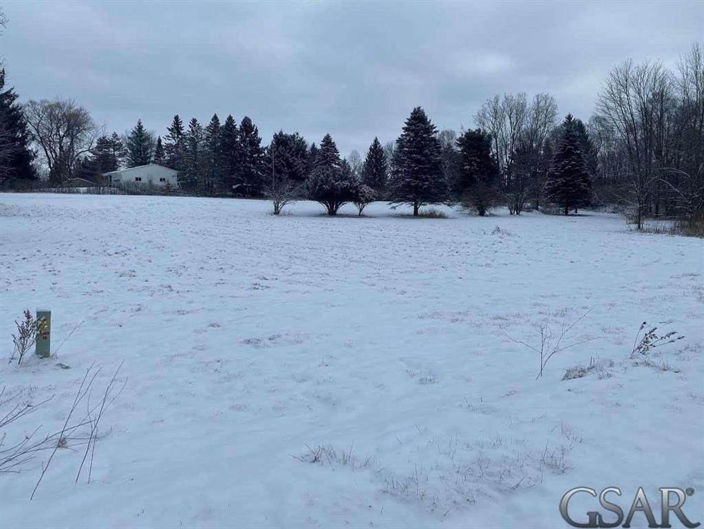 9690 Bath Rd. - Photo 1