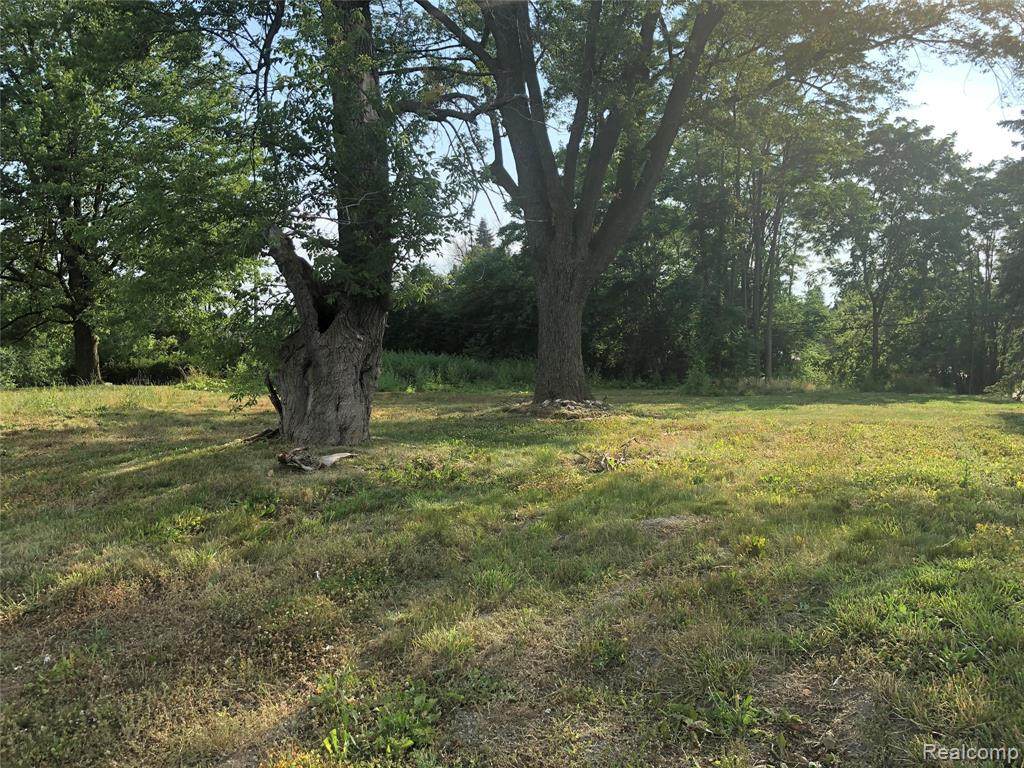 1771 Opdyke Road - Photo 1