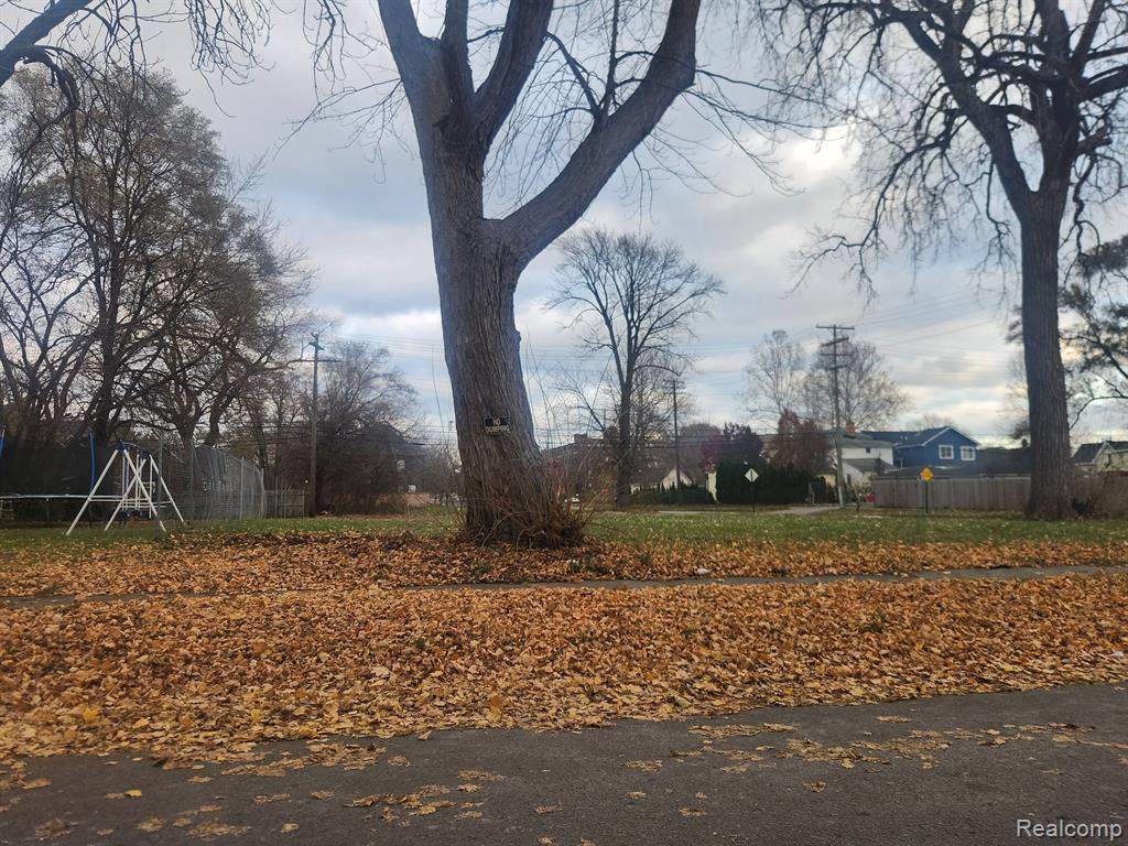 https://bt-photos.global.ssl.fastly.net/michigan/orig_boomver_1_512269748-2.jpg