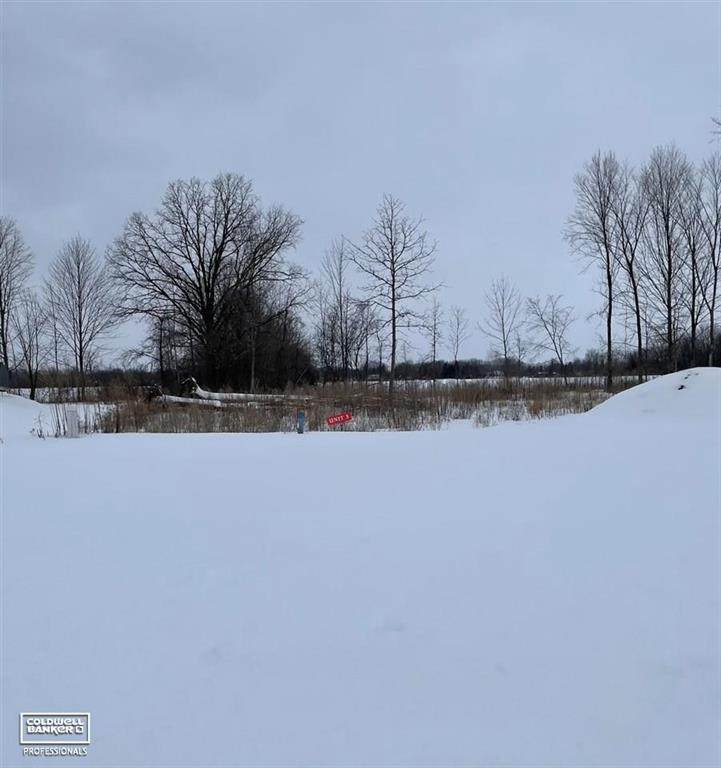67613 Ashley Avenue - Photo 1