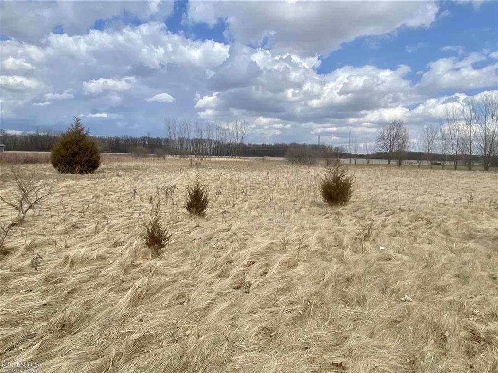 Chesaning Rd - Photo 1