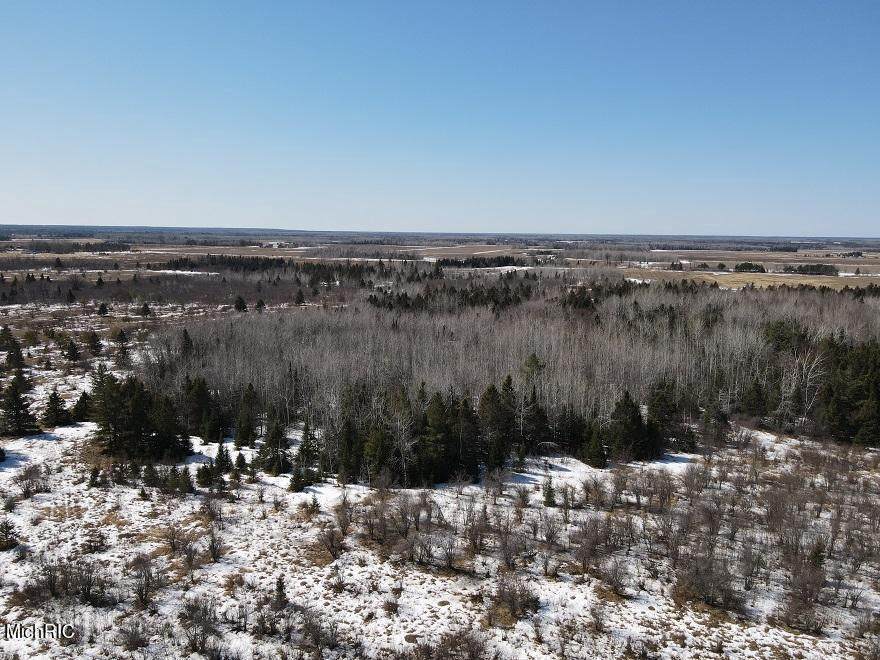 10200 Forrest Side Rd - Photo 1