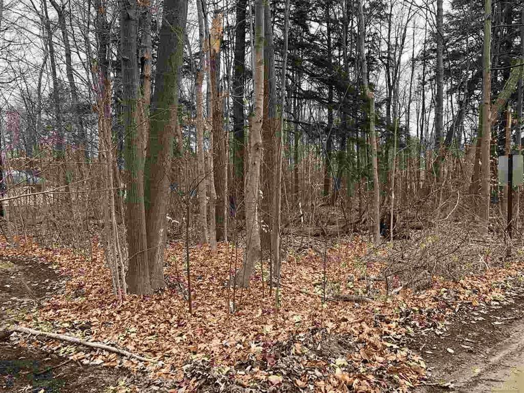 00 Hemlock, (Lot's 38 & 39) - Photo 1