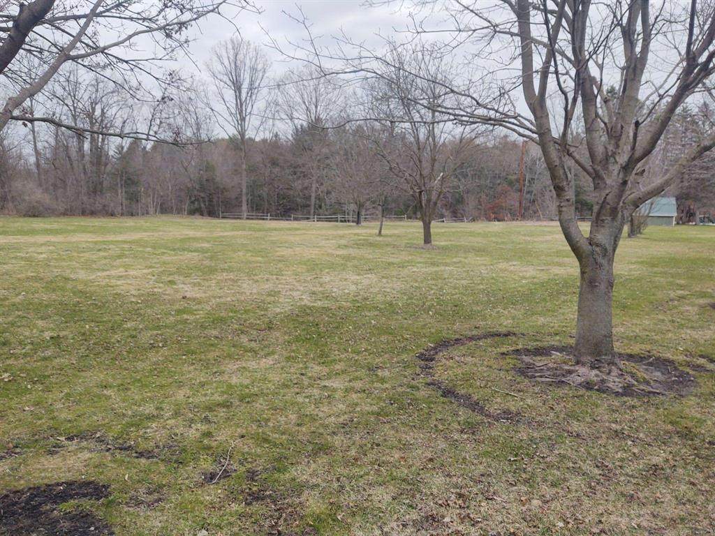 12355 Crockery Creek Drive - Photo 1