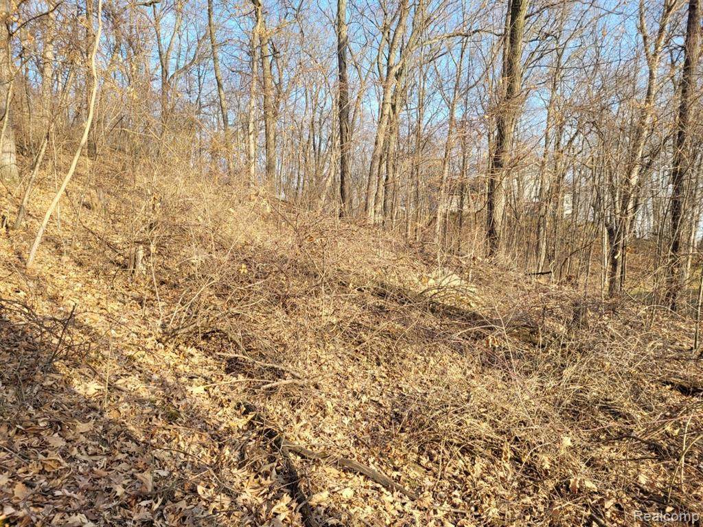 0 Dorothy Lane - Photo 1