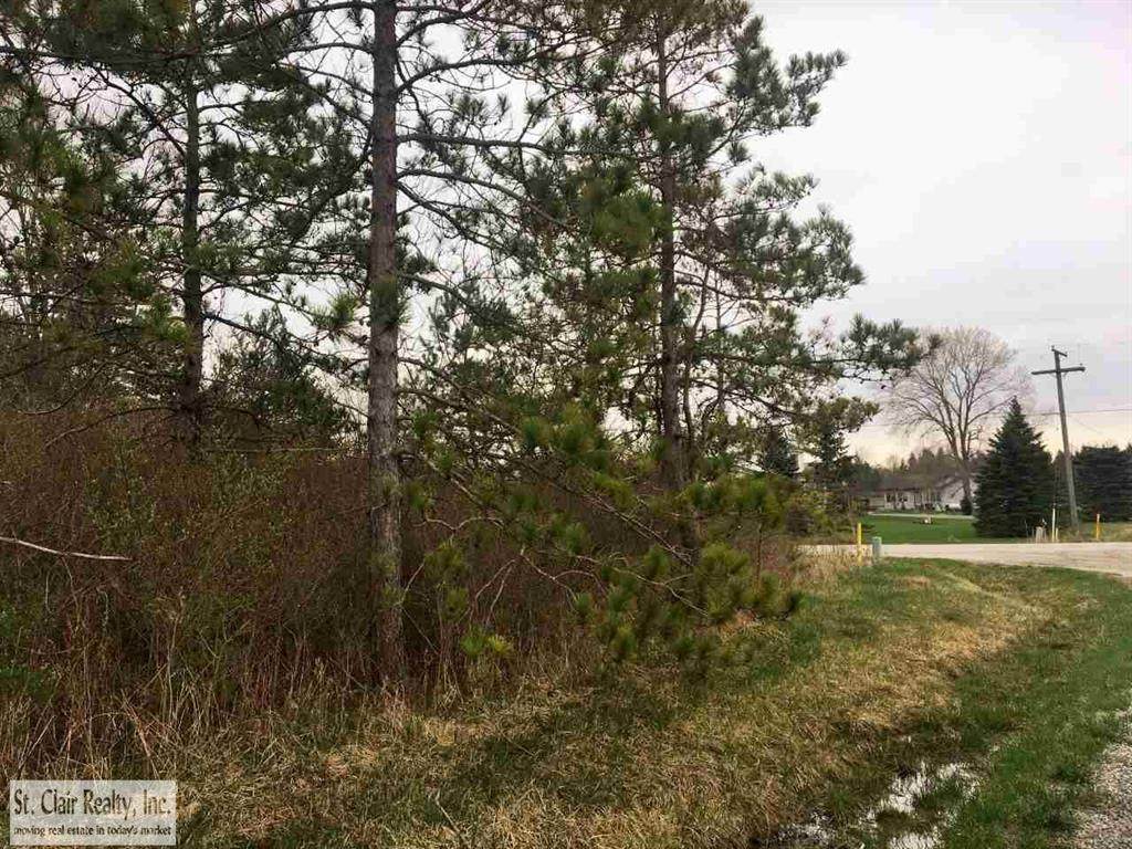 000 Lindsey Rd - Photo 1