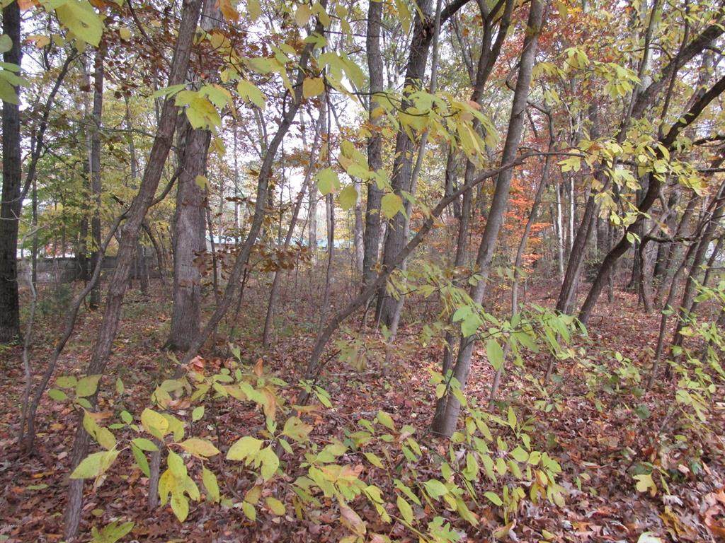 Lot 6 Kiella Drive - Photo 1