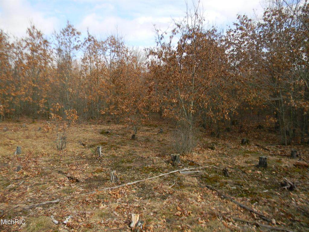 10950 Us 10 - Photo 1
