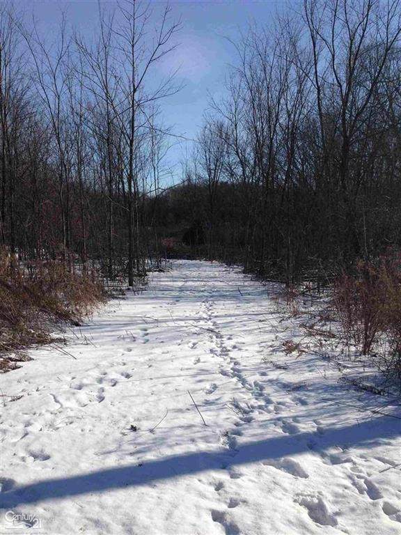 000 Marshall Rd - Photo 1