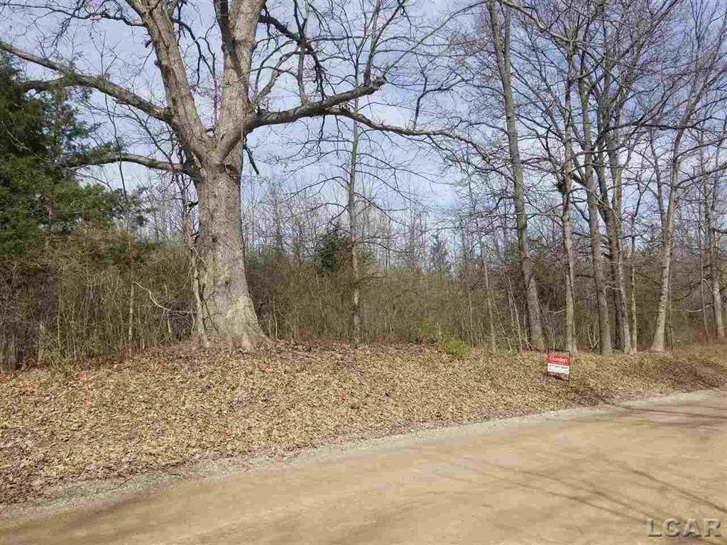 Sharon Hollow Rd. - Photo 1
