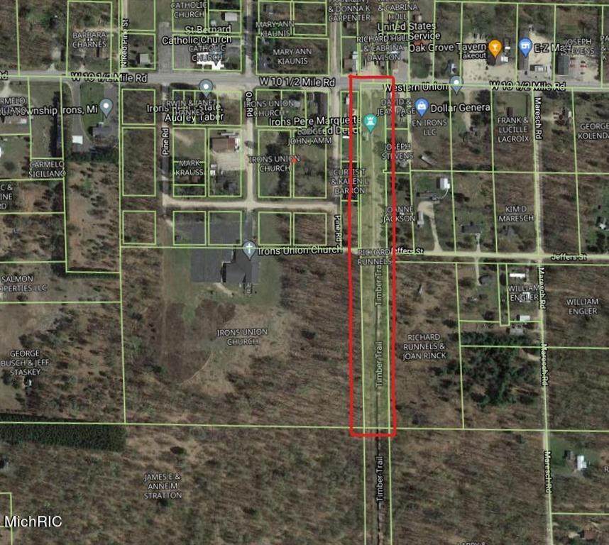 VL 10 1/2 Mile Rd Road - Photo 1
