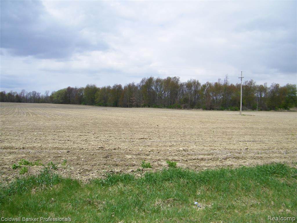 Parcel C Old State Road - Photo 1