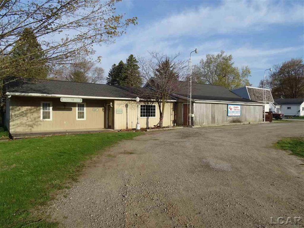4106 Adrian Hwy - Photo 1