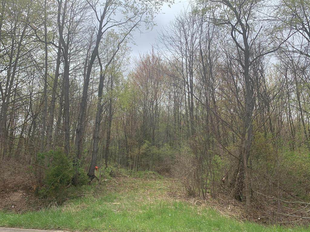 16715 Williamsville Street - Photo 1
