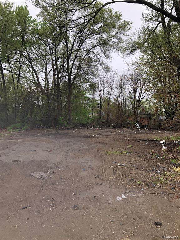 18049 Mound - Photo 1