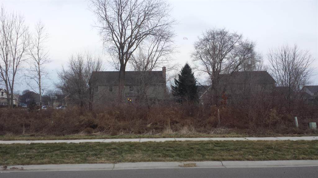 2421 Ulrich Street - Photo 1