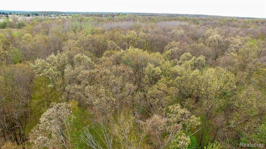 00 Lake Pleasant Road - Photo 1