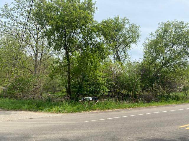 1222 Schuring Road - Photo 1