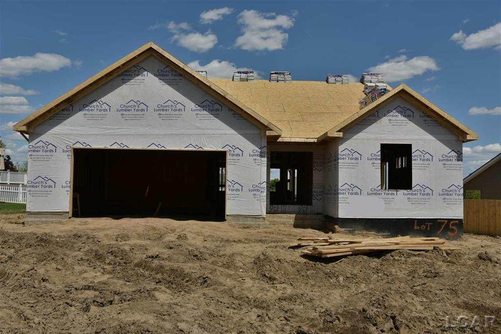 1514 Wind Dancer Trail - Photo 1