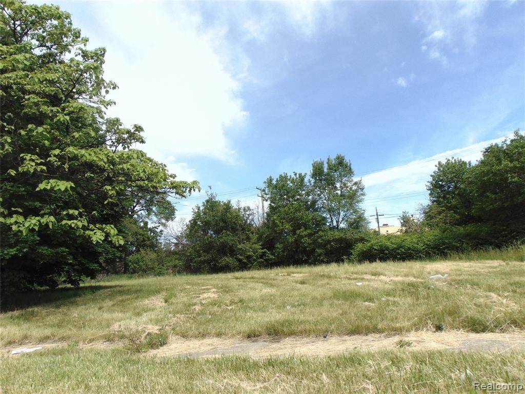 559 Edsel Ford - Photo 1