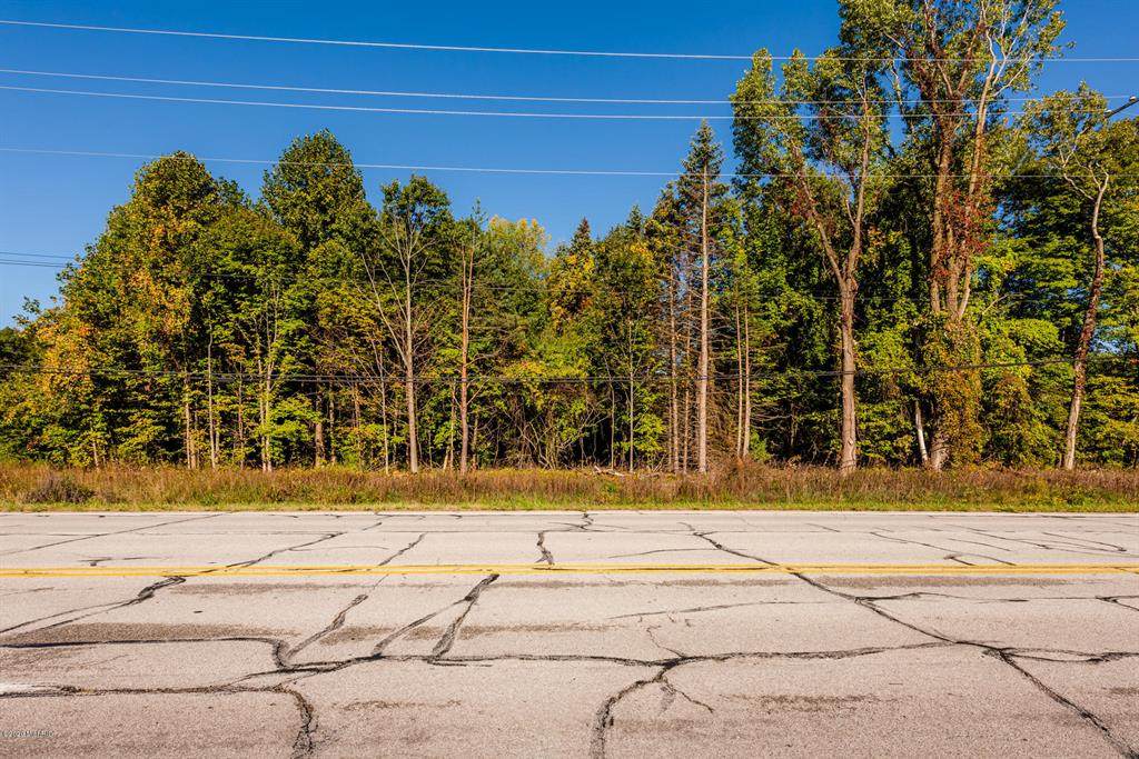 0a Red Arrow Highway - Photo 1
