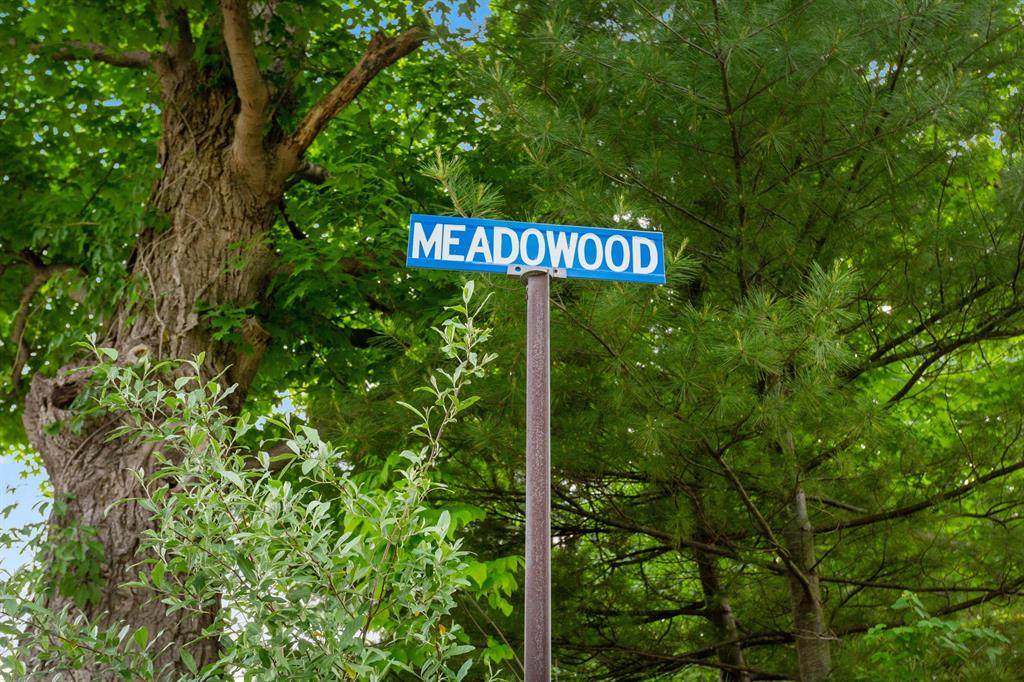 Meadowood Lane - Photo 1