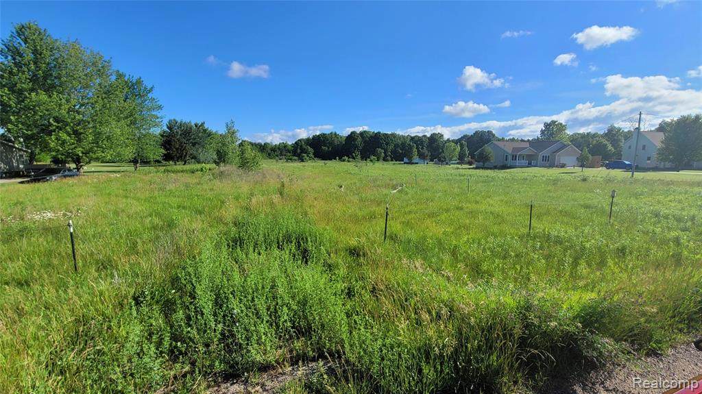 7434 Farrand Road - Photo 1