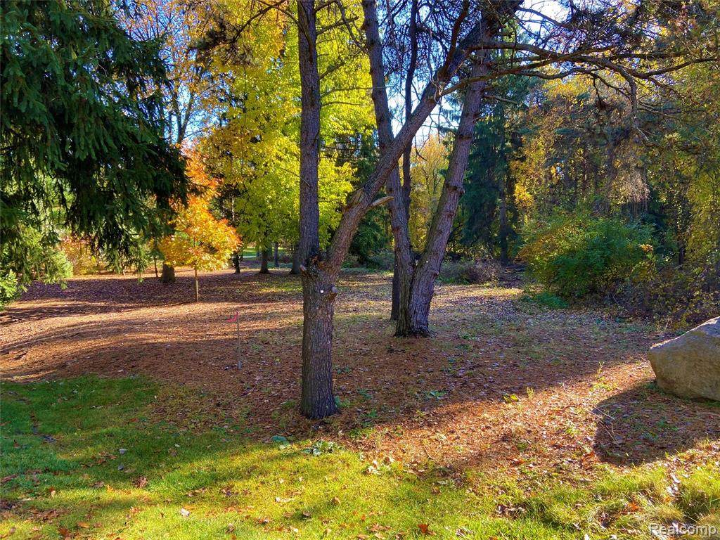 000 Devins Ridge - Photo 1