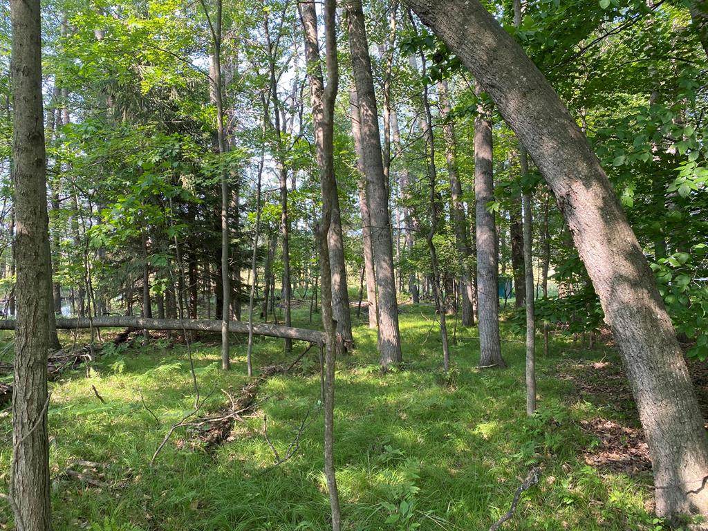 8321 Royal Road - Photo 1