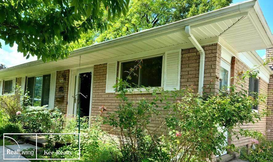 40217 Spitz - Photo 1