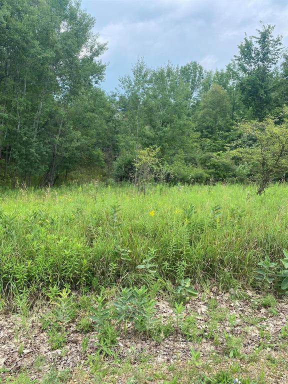 Lots 419 & 420 Miramichi Drive - Photo 1