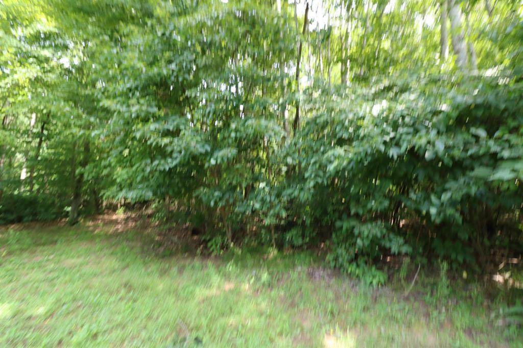Oriole Court - Photo 1